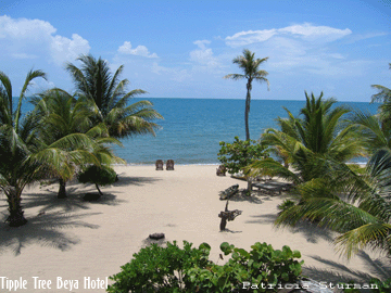 The Beach at Tipple Tree Beya Hotel. Photo Patricia Sturman